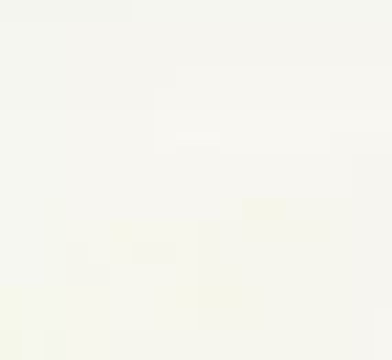 Mesh Neck Tank - CARINE