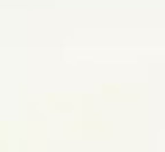 Mesh Neck Tank - CARINE