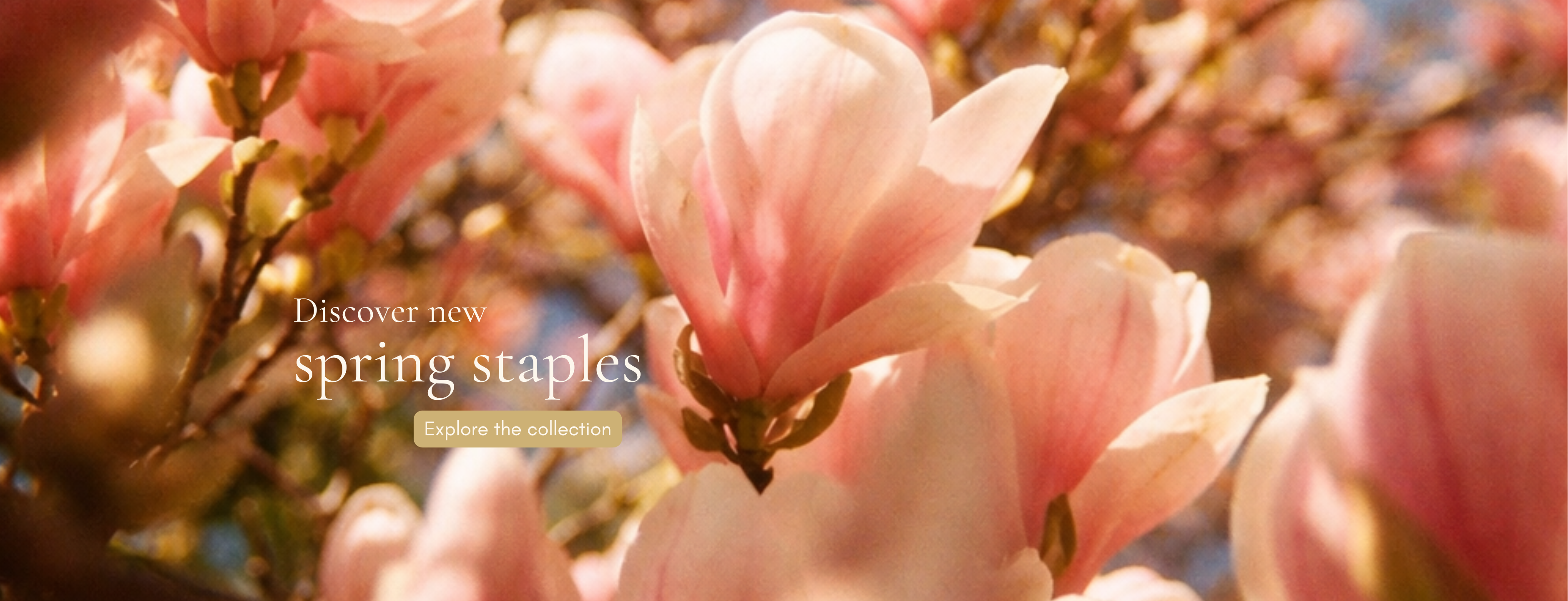 Pink spring blossoms with text “Discover new spring staples – Explore the collection”